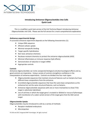 Quick Look - Introducing Antisense Oligonucleotides into Cells