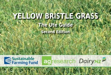 Yellow Bristle Grass Ute Guide