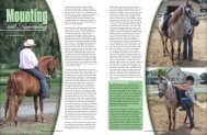 Mounting and Dismounting - Paso Fino Horse Association