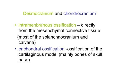 The scull: principles of development and structure. The ...