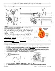 Notes - Reproduction