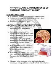 hypothalamus and hormones of anterior pituitary gland