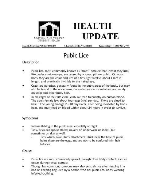 Pubic Lice