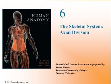 The Skeletal System: Axial Division - Hartnell College!!