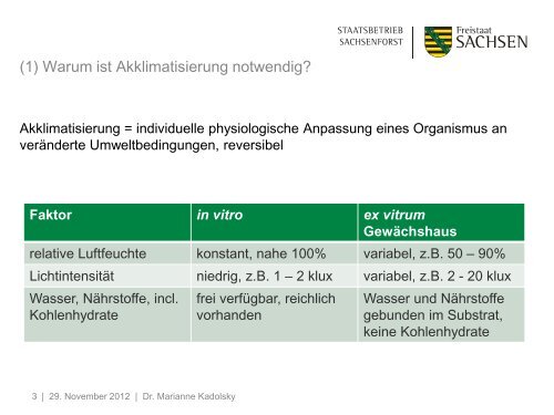 Akklimatisierung von in vitro-Pflanzen - eine immer wieder