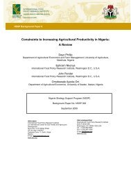 Constraints to Increasing Agricultural Productivity in Nigeria: A Review