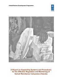 Somali remittance report - UNDP - United Nations Development ...