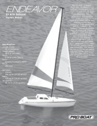 Serenity 1-Meter Sailboat RTR Manual - Pro Boat