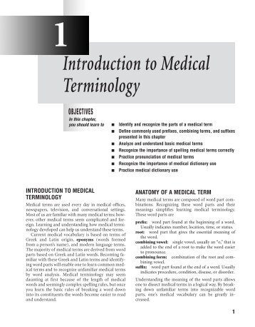 Essay for medical terminology