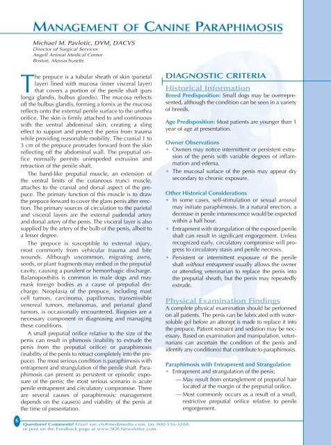 Management Of Canine Paraphimosis Hungarovet