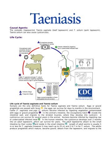 Causal Agents: Life Cycle: