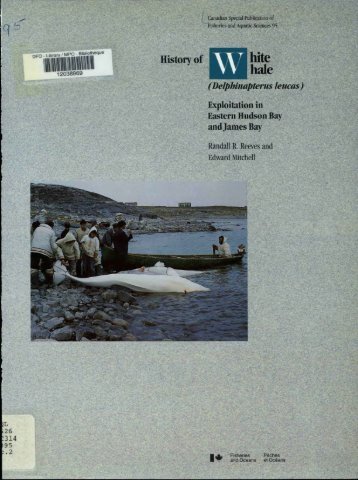History of White Whale (Delphinapterus leucas) Exploitation in ...