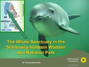 The Whale Sanctuary in the Schleswig-Holstein Wadden Sea ...