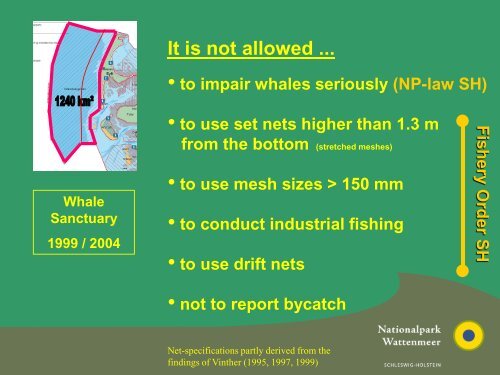 The Whale Sanctuary in the Schleswig-Holstein Wadden Sea ...