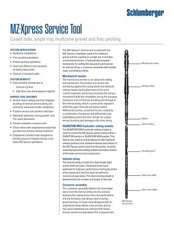 MZ-Xpress Service Tool - Schlumberger