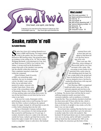 Snake, rattle 'n' roll - IRRI