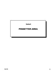 Download Pinsetter Area Brunswick PDF