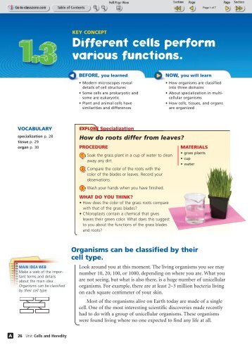 Different cells perform various functions.