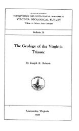 The Geology of the Virginia Triassic - Virginia Department of Mines ...