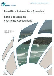 Sand Backpassing Feasibility Assessment - Tweed River Entrance ...