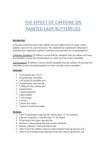 THE EFFECT OF CAFFEINE ON PAINTED LADY BUTTERFLIES