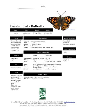 Painted Lady Butterfly info sheet - SaveNature.org