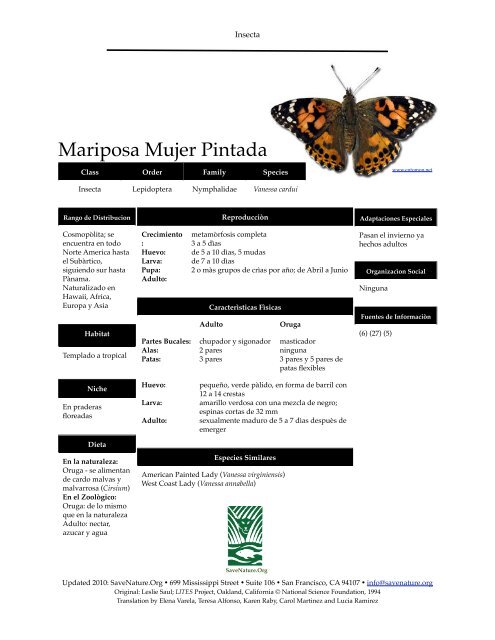 Painted Lady Butterfly info sheet - SaveNature.org