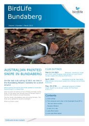 BirdLife Bundaberg newsletter - Birds Australia