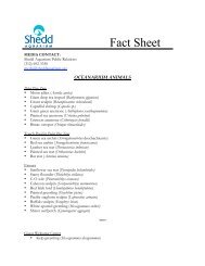 List of OC Animals (Fishes) - Shedd Aquarium