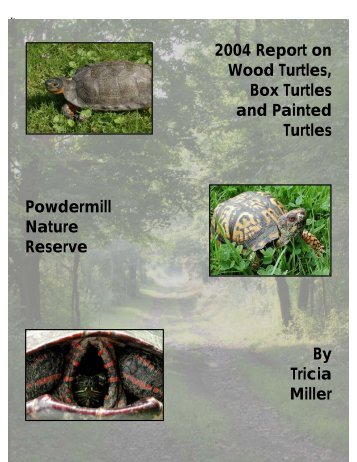 A Brief History of Powdermill Nature Reserve Turtle Project