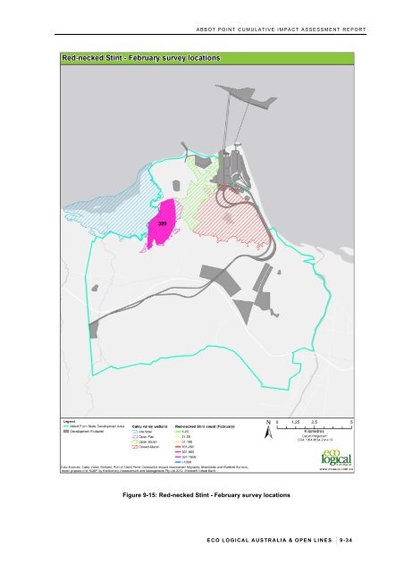 Chapter 9 – Migratory shorebirds and the Australian Painted Snipe