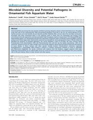 Microbial Diversity and Potential Pathogens in Ornamental Fish ...