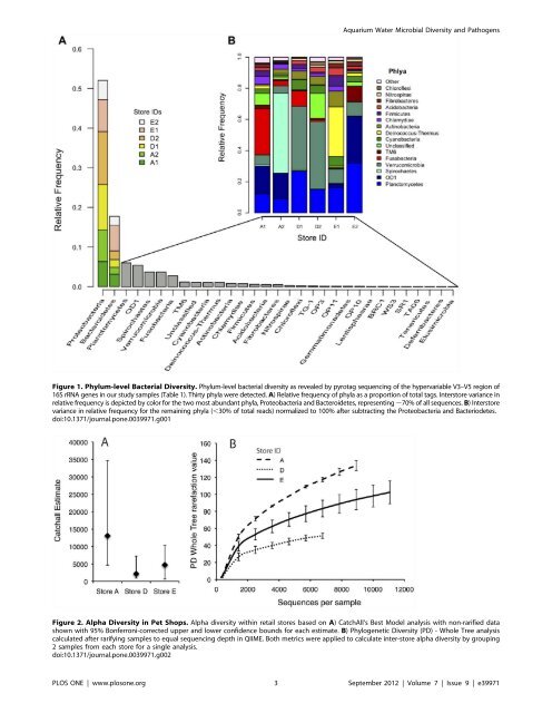 Microbial Diversity and Potential Pathogens in Ornamental Fish ...