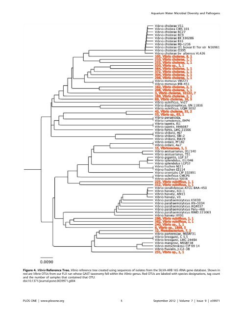 Microbial Diversity and Potential Pathogens in Ornamental Fish ...