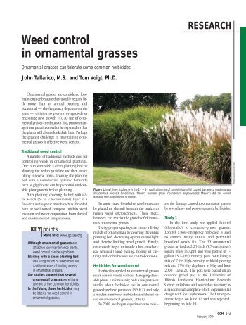 Weed control in ornamental grasses