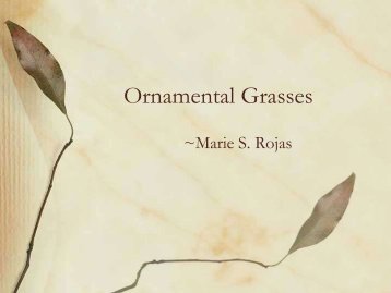Ornamental Grasses - University of Maryland Extension