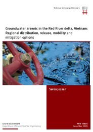 Groundwater arsenic in the Red River delta, Vietnam ... - Fiva