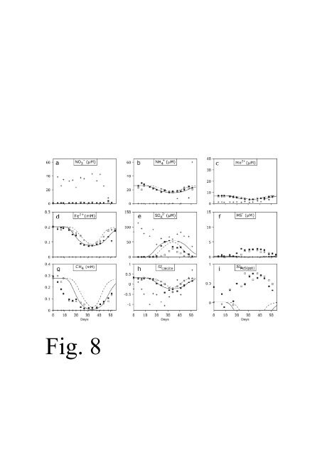 Groundwater arsenic in the Red River delta, Vietnam ... - Fiva