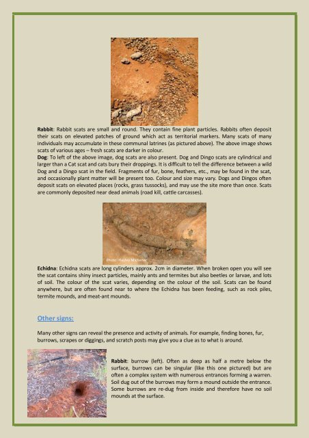Identifying Nests, Tracks, Scats, Burrows, & Other Signs