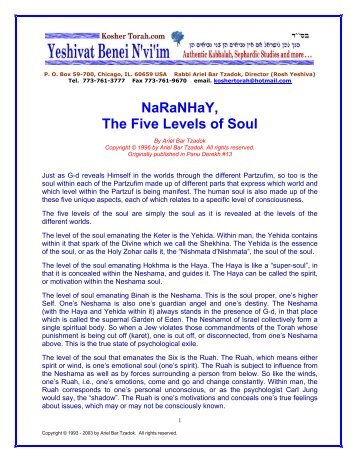 NaRaNHaY, The Five Levels of Soul - Kosher Torah