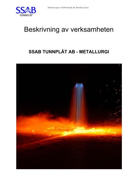 SÄKERHETSRAPPORT 2009 - SSAB