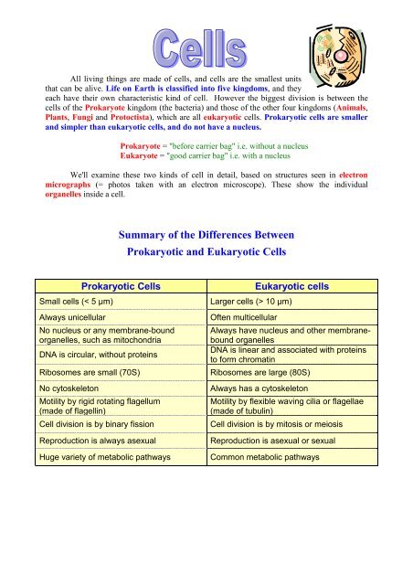 Summary of the Differences Between Prokaryotic and Eukaryotic Cells