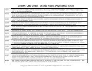 Chanca Piedra (Phyllanthus niruri) - Raintree Nutrition, Inc