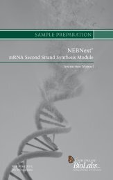 manual NEBNext mRNA Second Strand Synthesis Module E6111S ...