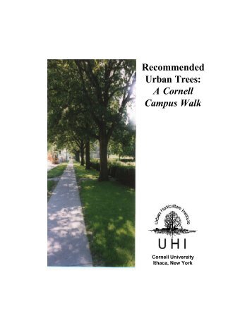 Recommended Urban Trees: A Cornell Campus Walk - Horticulture ...