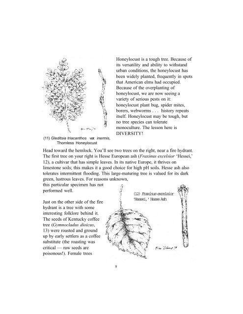 Recommended Urban Trees: A Cornell Campus Walk - Horticulture ...