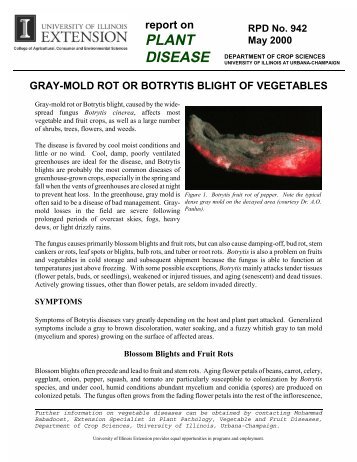 Gray Mold Rot or - Integrated Pest Management at the University of ...