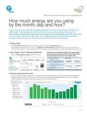 How much energy are you using by the month, day and ... - FPL.com