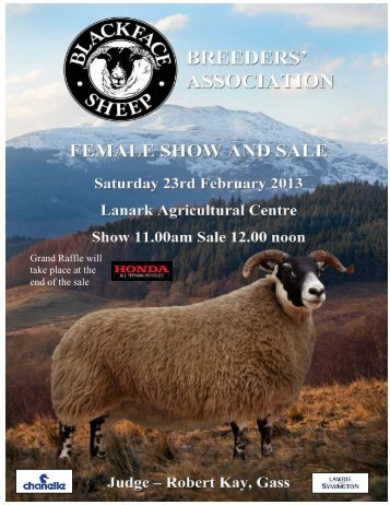 LOT 1 - The Blackface Sheep Breeders' Association