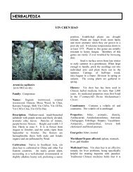 Yin Chen Hao - Herbalpedia
